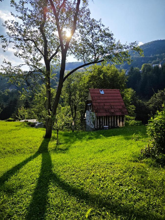 Mini Garden Guest House Mojkovac Exterior foto